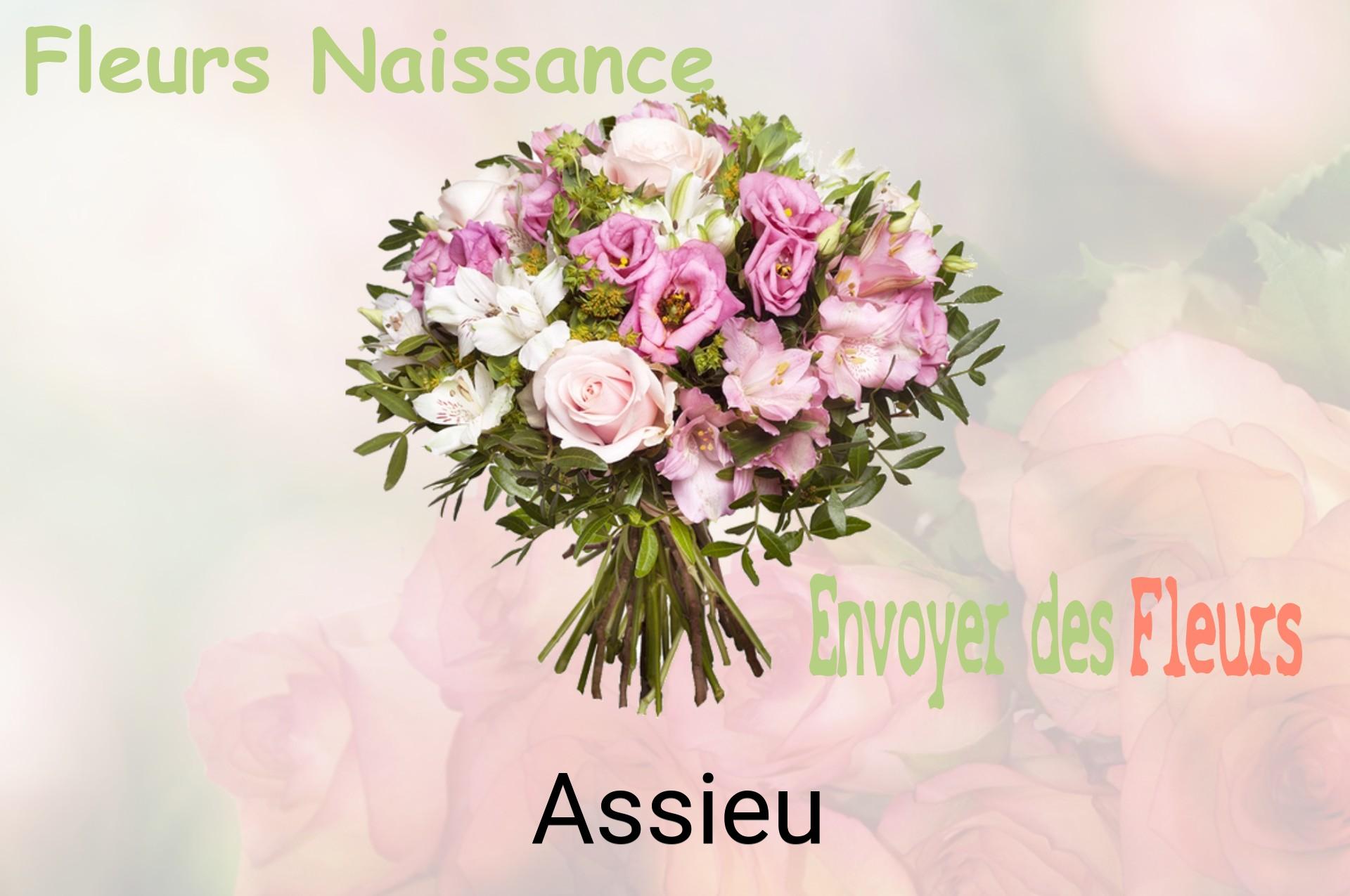 Bouquet de fleurs de naissance livré à Assieu