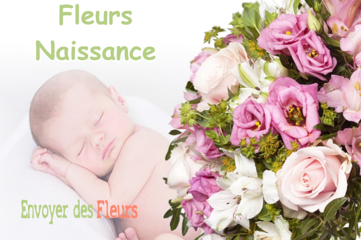 lIVRAISON FLEURS NAISSANCE à ASSIEU